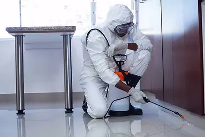 securityinbangalore - Latest update - Pest Prevention Services in Bangalore