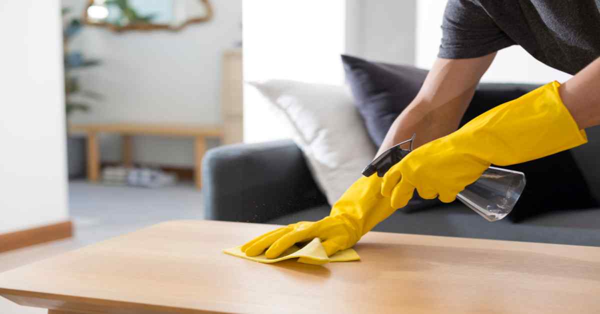 securityinbangalore - Latest update - Home Cleaning Services Bangalore